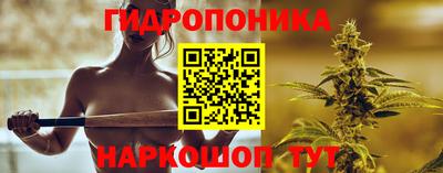 сатива Бийск
