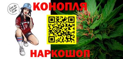 сатива Бийск