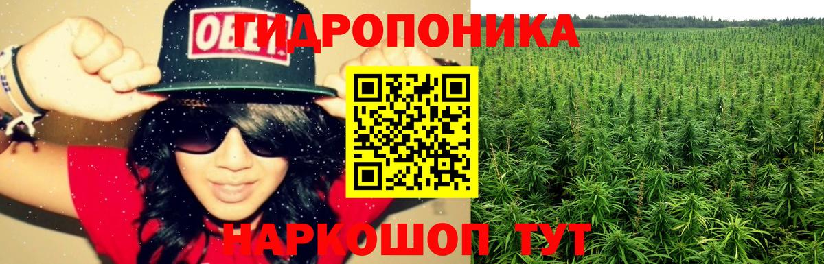 Шишки марихуана семена Златоуст