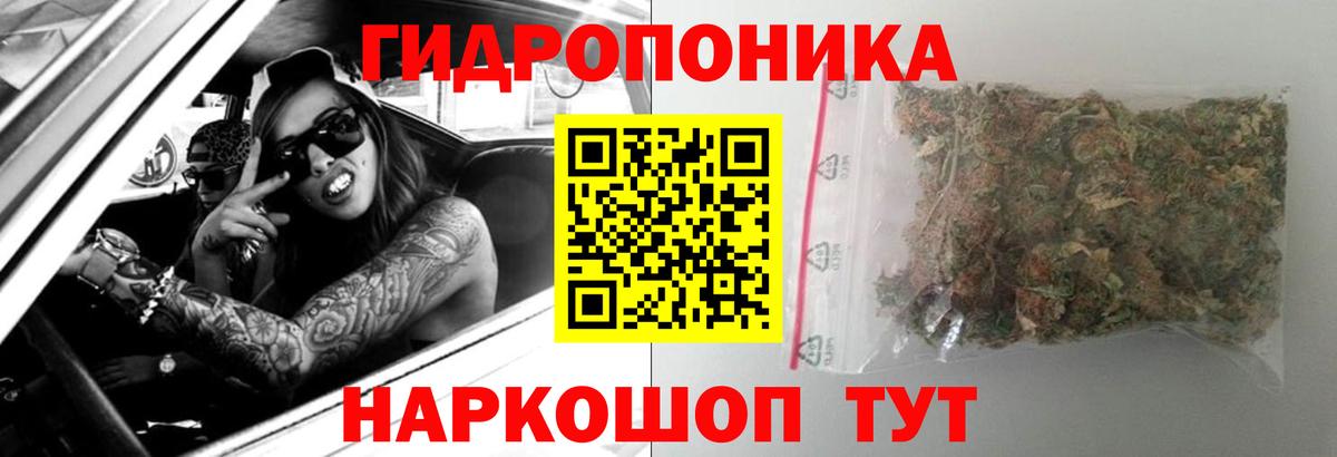 Бошки марихуана Amnesia  Вход с VPN  Златоуст  Бошки марихуана план 